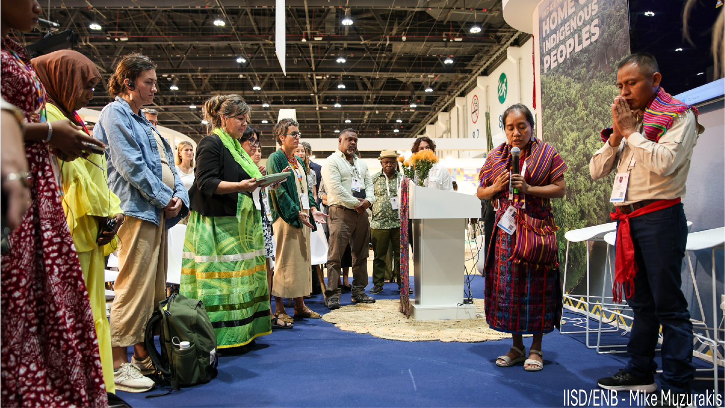 Photo©IUCN/Abhi Indrarajan/Workers Photos