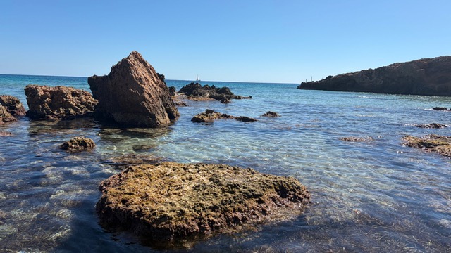Biodiversité marine